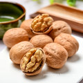 Wholesale Natural Healthy Food walnut natural nuts